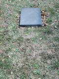 image of grave number 855777